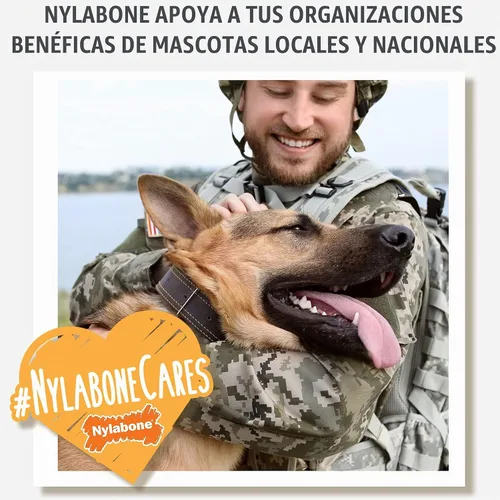 Vista 10 de Nylabone Healthy Edibles Meaty Center - Golosinas para perros, sabor a carne, 4 unidades Natural dog chew bones, made in USA, highly digestible