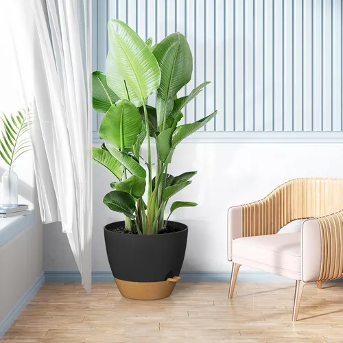 Vista 4 de ZMTECH Juego de 2 macetas de 10 pulgadas para plantas de interior, macetas de riego automático con agujeros de drenaje y platillo para plantas