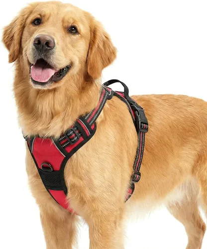 Vista 12 de Funfox Arnés para perro sin tirones, chaleco ajustable para mascotas con asa de control y clip frontal, diseño reflectante para perros pequeños