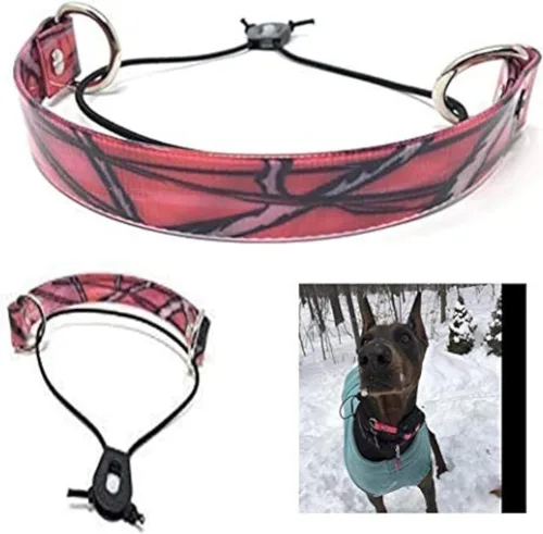 Vista 17 de Sparky Pet Co - Correa de repuesto ECollar - Collar de perro elástico - Impermeable - Ajustable - Bloqueo de rueda Nexus seguro - para entrenamiento