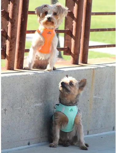 Vista 4 de Doggie Design Arnés para perro sin estrangulamiento, chaleco simple para perros de razas pequeñas, medianas y grandes - Arnés de malla transpirable