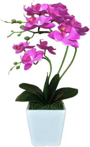Vista 15 de Arreglos de macetas de plantas de flores de orquídea Phalaenopsis de seda artificial de 15 pulgadas de alto (verde manzana)