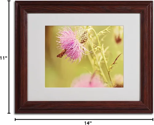 Vista 6 de Trademark Fine Art Skipper on Pink Thistle - Arte enmarcado con marco de madera, 11 x 14 pulgadas