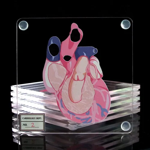 Vista 6 de Juego de 6 posavasos anatómicos con forma de corazón para médico