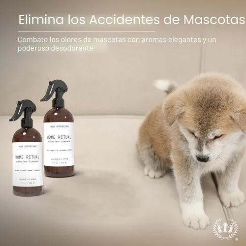 Vista 5 de Muse Apothecary Home Ritual - Spray eliminador de olores activo, desodorante en aerosol para muebles y eliminador de olores de baño para el hogar