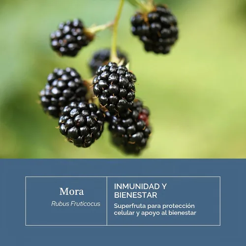 Vista 3 de Eclectic Institute Fruta de mora cruda fresca liofilizada sin OMG 90 CT (480 mg)