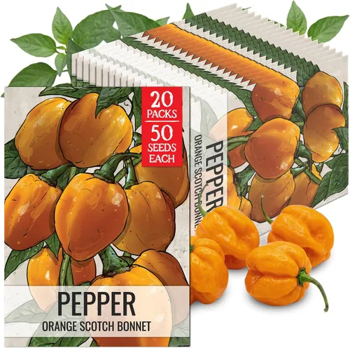 Vista 93 de Seed Needs - Semillas de pimiento arcoíris para plantar verduras, 1 paquete