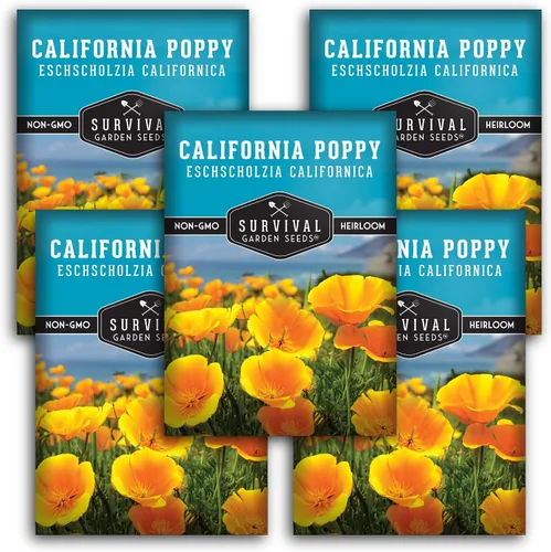Vista 12 de Survival Garden Seeds - Semillas de amapola de California para plantar - 1 paquete con instrucciones para cultivar plantas Eschscholzia Californica