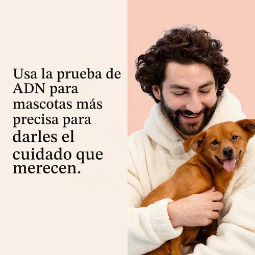 Vista 2 de Wisdom Panel Premium Kit de ADN para perros: más completo con más de 265 pruebas de salud, identifica más de 365 razas de perros, más de 50 rasgos