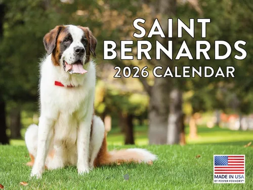 Vista 28 de Calendario mensual de pared Airedale Terrier Dog 2027 rojo (Airedale Terrier)