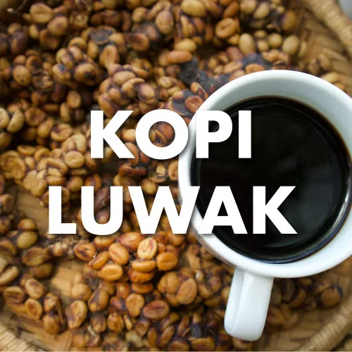Vista 2 de Kopi Luwak Coffee, Wild Gathered, 100% puro, grano entero, 16 onzas