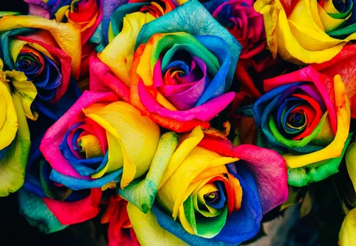 Vista 2 de Más de 50 semillas de flores de rosas mixtas flores perennes plantas jardín