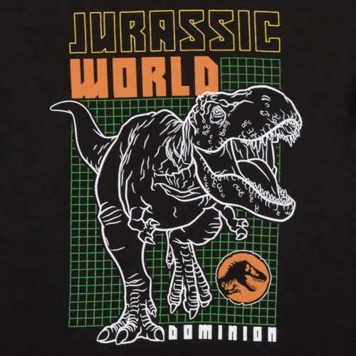 Vista 3 de Universal Studios Jurassic World - Juego de 2 camisetas para niños, camisetas de dinosaurio para niños