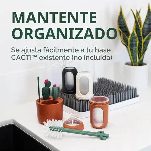 Vista 5 de Boon Juego de repuesto Cacti – Botella, cepillos para pajilla, tetina, detalle – no tóxico, nailon duradero, multicolor, 4