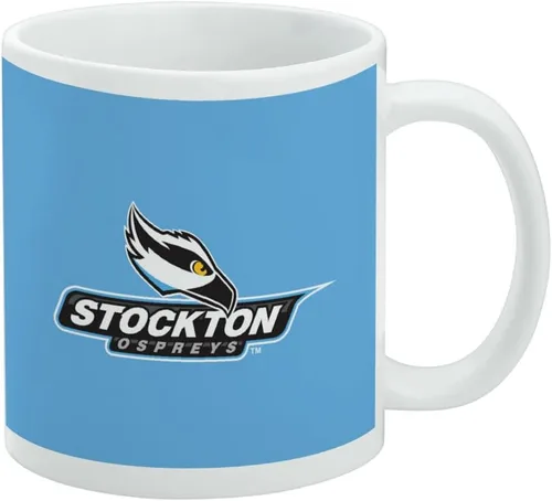 Vista 527 de Taza de cerámica con el logotipo principal de la Universidad Rider, taza de regalo novedosa para café, té y bebidas calientes, 11oz, blanca