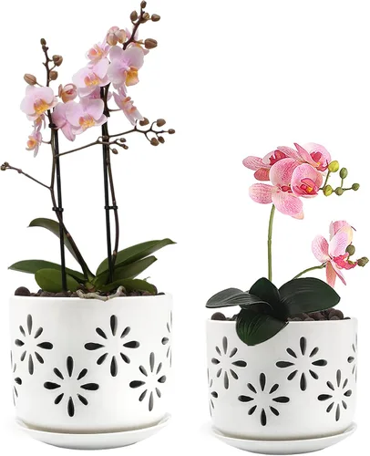 Vista 8 de EFISPSS Macetas de orquídeas con agujeros, macetas de orquídeas de 7 pulgadas con agujeros de drenaje y bandeja, maceta grande