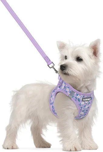 Vista 115 de rabbitgoo Arnés para perro de tamaño pequeño y juego de correa, chaleco Cachorros de manzana