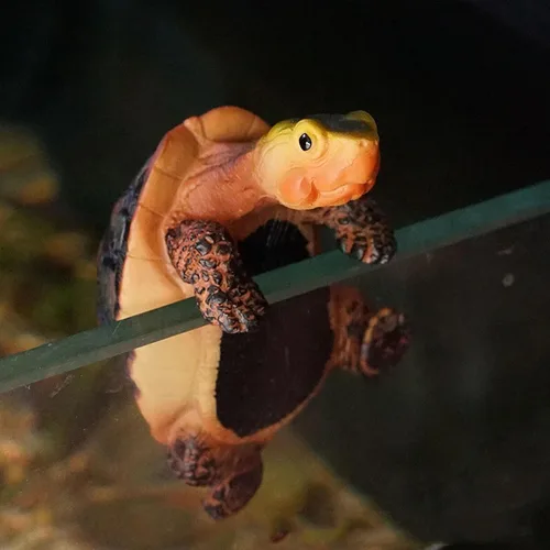 Vista 5 de Banax Colgador de macetas de tortuga, figura de tortuga de resina, lindas tortugas de resina colgantes, regalo de decoración de maceta, se puede
