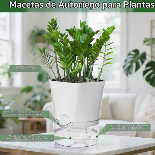 Vista 5 de Macetas de Riego Automático KIMCHOMERSE, Macetas de 6 Pulgadas para Orquídeas, Pack de 3 Macetas para Flores, Macetas para Plantas