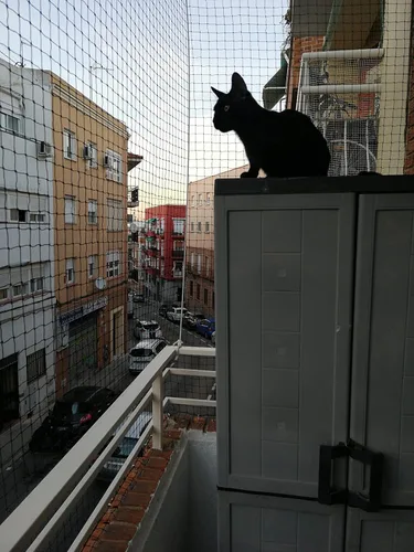 Vista 2 de YOKMO - Red de barandilla para balcón para gatos, malla anticaídas, nailon negro, 10 x 13 pies