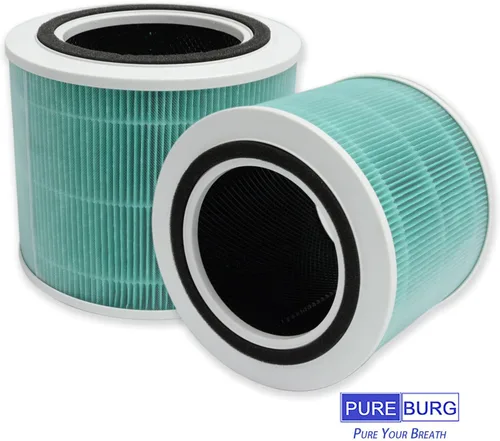 Vista 5 de PUREBURG Filtros de repuesto compatibles con TOPPIN Comfy Air Bridge 2 TPAP003 purificador de aire, 2 unidades H13 HEPA de carbón activado
