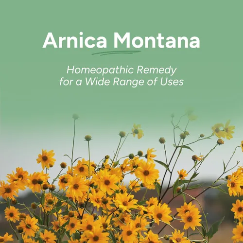 Vista 3 de OLLOIS Arnica Montana 6C Medicina homeopática orgánica, sin lactosa, Kosher, 80 pellets (paquete de 3)