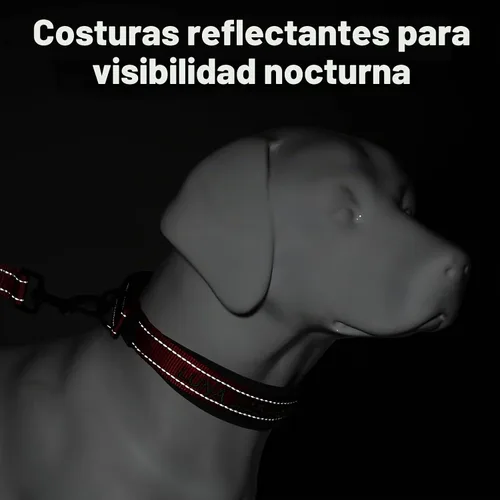 Vista 5 de Collar de perro personalizado, nombre bordado y número de teléfono, collar de nailon reflectante personalizado para mascotas, ajustable