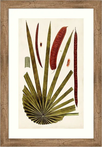 Vista 17 de Amanti Art Vision Studio - Lienzo decorativo para pared, 24 x 17 pulgadas, variedades de hojas VI por Vision Studio, arte de pared de naturaleza