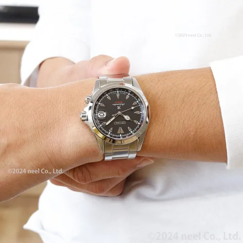 Vista 5 de Seiko PROSPEX Alpinist Limited Modelo SBDC087 fabricado en Japón, plateado, Moderno