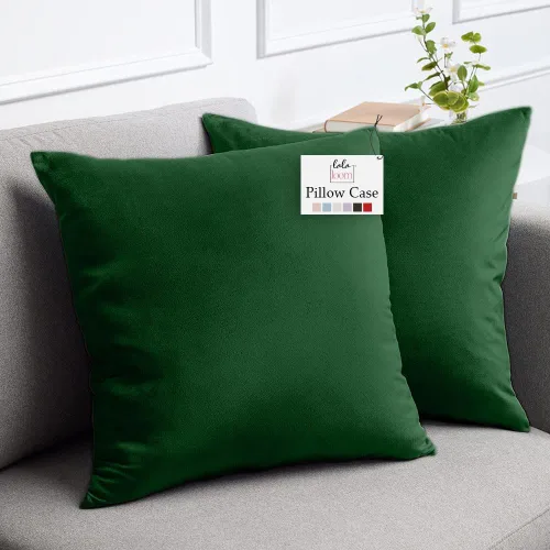 Vista 21 de lalaLOOM Fundas de almohada de terciopelo, juego de 2 almohadas cuadradas decorativas para el hogar, fundas suaves de acento, fundas de almohada