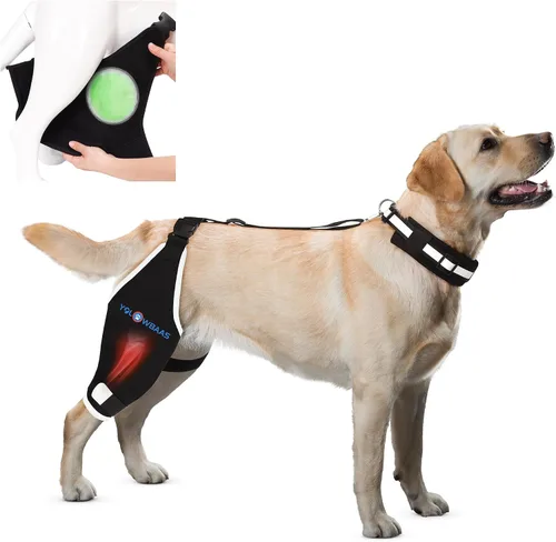 Vista 7 de Rodillera para perro para desgarro de ACL para pierna trasera con compresa caliente/fría, soporte ajustable para cadera de perro para desgarro