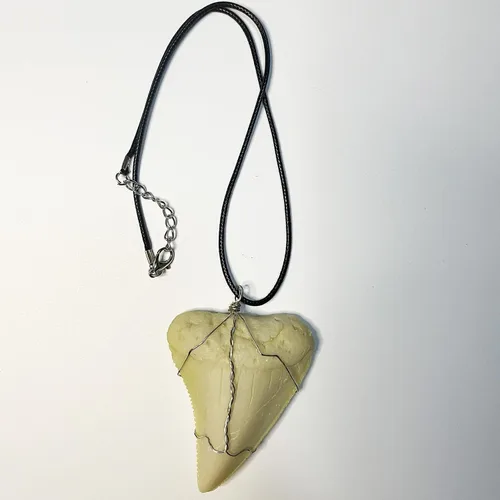 Vista 2 de Gran collar de réplica de diente de tiburón blanco, 2.5 pulgadas