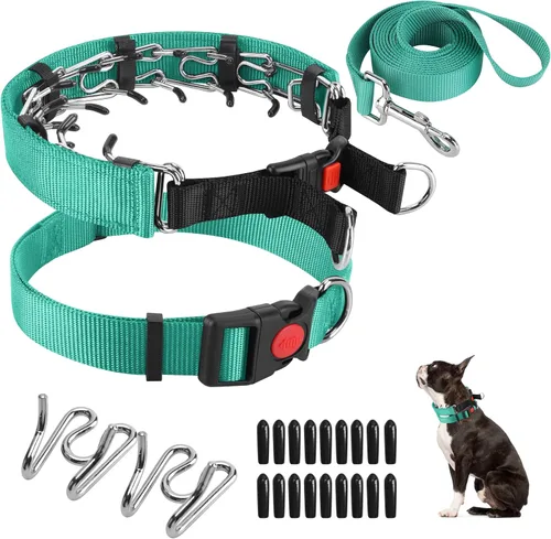 Vista 29 de Collar de entrenamiento de puntas con puntas cómodas y hebilla de cierre rápido – Collar de pellizco para perro con cubierta de nailon