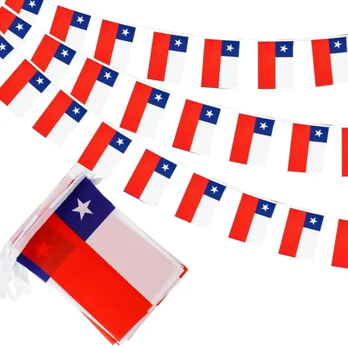 Vista 20 de Banderas de cuerda de 100 países, banderines internacionales, banderas del mundo para bares olímpicos, clubes deportivos, decoraciones escolares