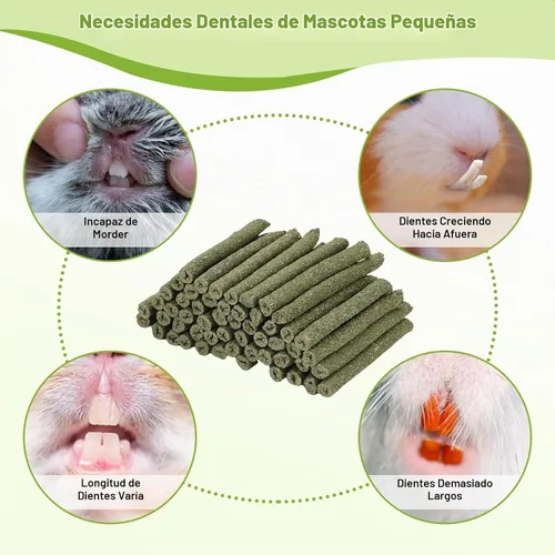 Vista 3 de 100 palitos de heno Timothy para conejos, cobayas, chinchillas, golosinas masticables para masticar, hierba Timothy natural, dientes molares