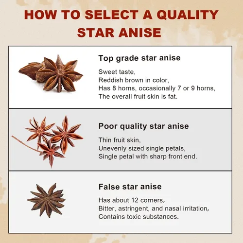 Vista 6 de 52USA Anís Estrellado Entero, 4 Onzas (Paquete de 1), Anís Estrellado Chino Verificado SIN OGM, Vainas de Anís Estrellado Seco para Té y Repostería
