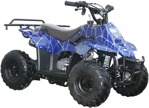 Vista 3 de ATV juvenil