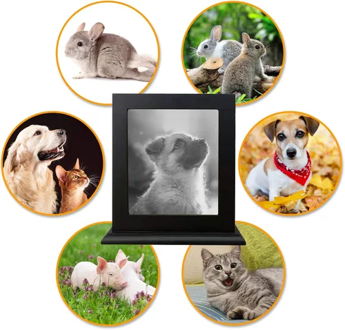 Vista 5 de Urna conmemorativa de madera para cenizas, marco de fotos, caja de recuerdo para gatos y perros, suministros de ataúdes funerarios, urnas