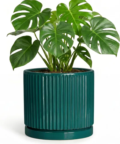 Vista 37 de 8 Inch Flower Pot, Ceramic Planters, Round Plant Pot, Beige