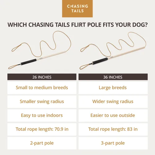Vista 9 de Chasing Tails Poste de coqueteo para perros pequeños, 26 pulgadas con cuerda de 70 pulgadas y dos juguetes, equipo de juego interactivo para razas
