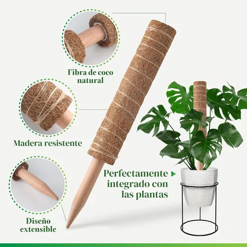 Vista 5 de Pisol Poste de musgo para plantas Monstera, soporte extensible para palitos