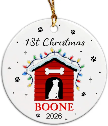 Vista 11 de Adorno de cerámica personalizado para la primera Navidad del bebé 2026, adorno de cerámica personalizado para la primera Navidad, estadísticas