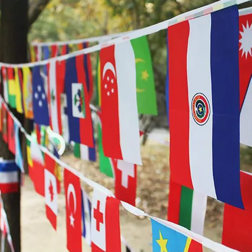 Vista 5 de Anley Bandera de cuerda de 200 países de 184 pies – Banderines internacionales para decoración de fiestas, bares, clubes deportivos, festivales