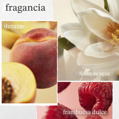 Vista 6 de Pureology Champú Strength Cure Para cabello dañado y teñido Fortifica y fortalece el cabello Sin sulfatos Vegano