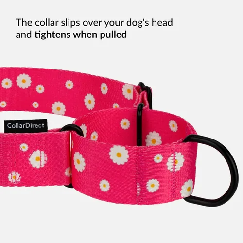 Vista 3 de CollarDirect Martingale - Collar para perro de nailon resistente para perros pequeños, medianos y grandes