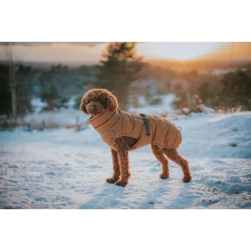 Vista 6 de Ropa para mascotas Hunter PAXSON Marrón Poliéster