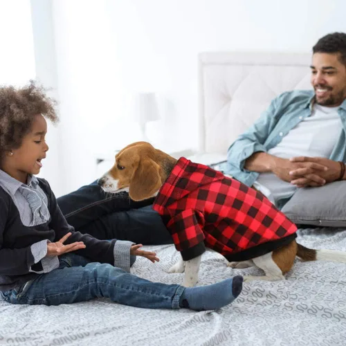 Vista 6 de Sudadera con capucha a cuadros para perros extra pequeños, gatos, cachorros, abrigo cálido y suave (XS)