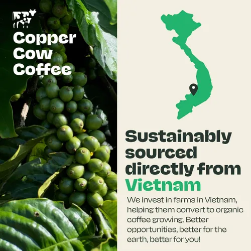 Vista 7 de Copper Cow Café vietnamita molido prémium, 10 OZ Café negro clásico Tostado oscuro Café vietnamita
