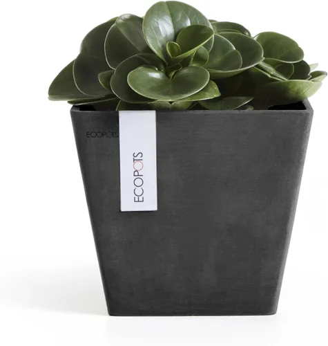 Vista 4 de Ecopots Rotterdam - Maceta cuadrada para flores, color gris oscuro, 8 pulgadas