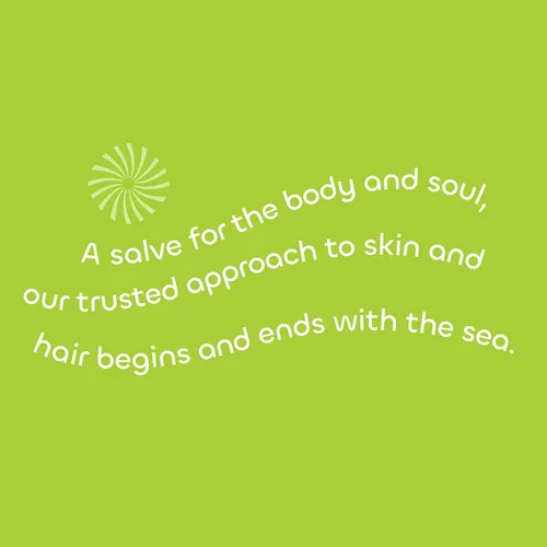 Vista 6 de Seaweed Bath Co. Acondicionador brillante, aroma a bergamota de sal marina, 12 onzas, algas cosechadas de forma sostenible, Awapuhi, ácido láctico